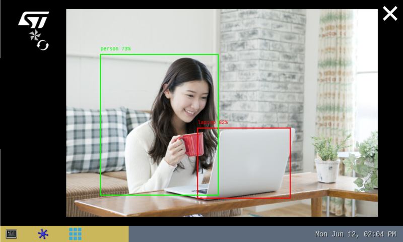 ONNX Python runtime object detection application