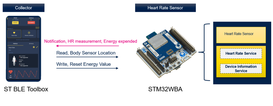 STM32WBA Heart Rate Profile