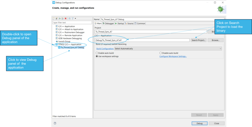 IDE ApplicationDebugPanelMain MP13.png