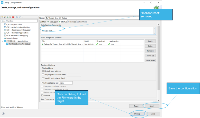 IDE ApplicationDebugPanelStartup MP13.png