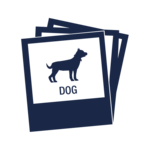 Image classification logo.png