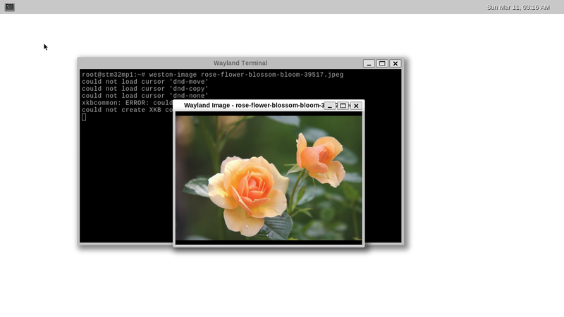 File:Weston-terminal-screenshot.png